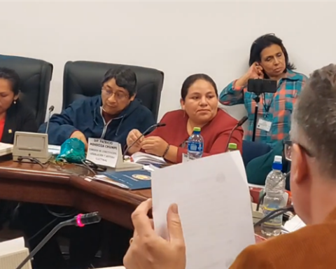 Designers present their proposed census law;  The MAS asks to convene the Minister of Planning and the INE