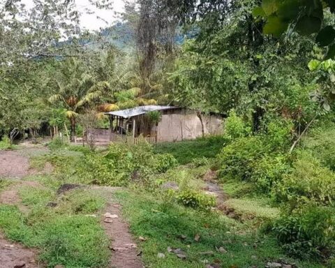 Double femicide in Wiwilí: Man kills his partner and his mother-in-law