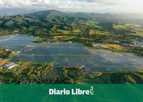 EGE Haina seeks agreement to use sheep for maintenance