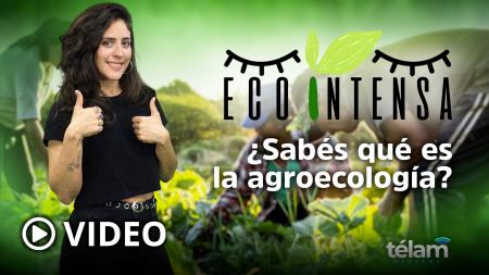 Ecointense: What is agroecology?