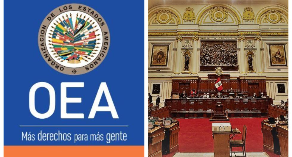 Edward Málaga on the OAS mission: "I think the cloak has been removed from its eyes"