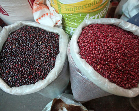 Enrique Sáenz: Nicaraguans now "eat stir-fry" beans, tortillas and cheese