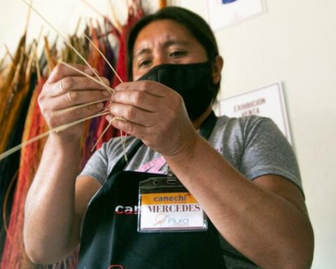 Entrepreneurship: contest launched for innovative and sustainable businesses