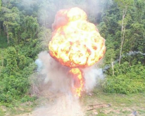 FANB destroys illegal camp in Imataca Forest Reserve