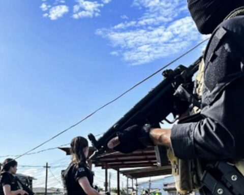 Federal Police arrest child sex abusers