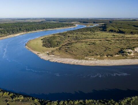 Fields with native forests: contribution benefits, IRAE and BPS