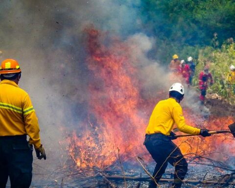 Firefighters and forest fighters are trained in Cusco (PHOTOS)