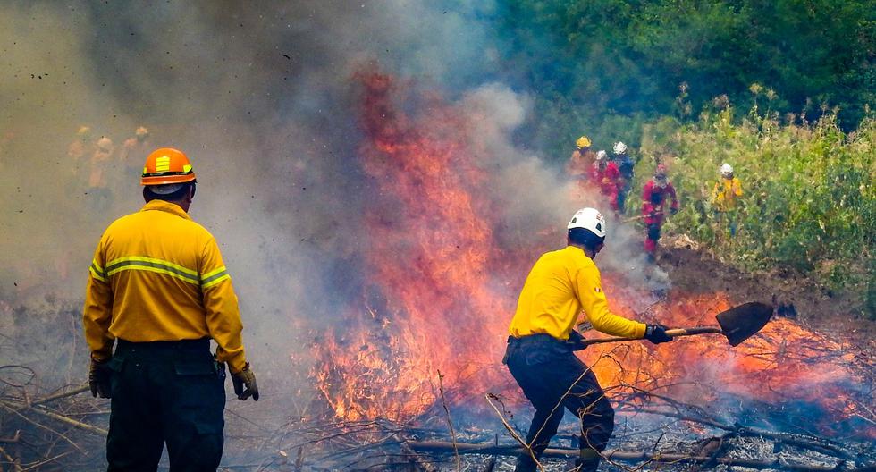 Firefighters and forest fighters are trained in Cusco (PHOTOS)