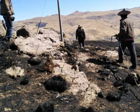 Forest fires leave student dead and vicuña reserve destroyed in Cusco (VIDEO-PHOTOS)