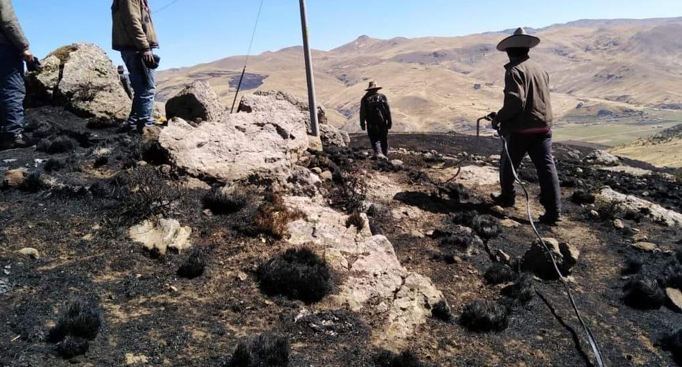 Forest fires leave student dead and vicuña reserve destroyed in Cusco (VIDEO-PHOTOS)