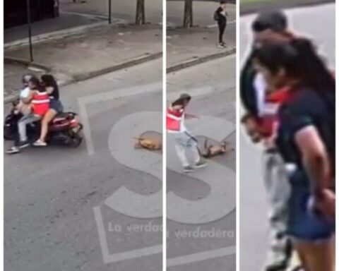 perro moto Villavicencio