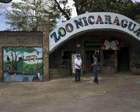 Government doubles the budget of the National Zoo after change of administration