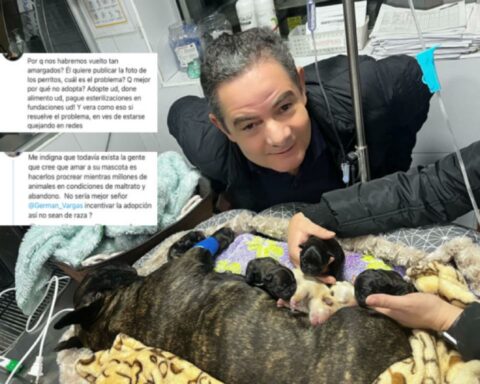 exvicepresidente Vargas Lleras Mancho perro