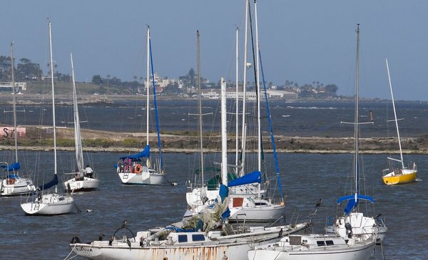 He was rescued by the Malvinas and has been anchored for 14 years in Diving: the story of Kuenda