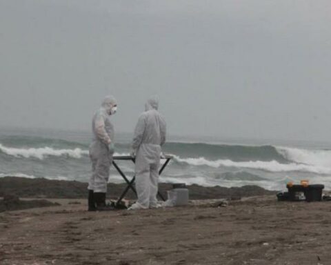 Health alert for bird flu in Peru: is it risky if I eat meat and eggs?