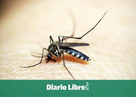 Health authorities recognize increase in dengue cases