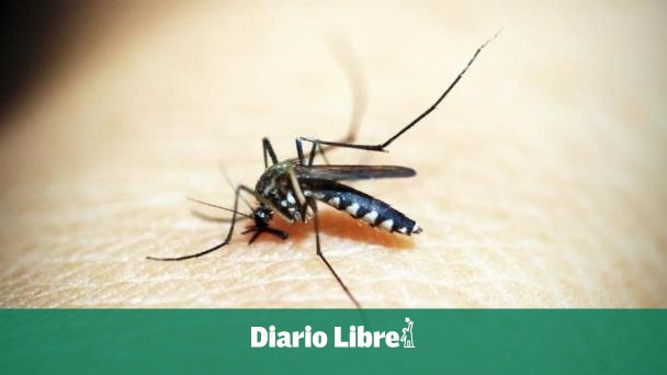 Health authorities recognize increase in dengue cases
