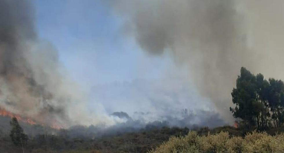 Huancavelica: Forest fire in Manchariscca devastates more than 10 hectares