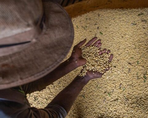 In 2020, the 1st year of the pandemic, GDP drops by 24 units of the Federation