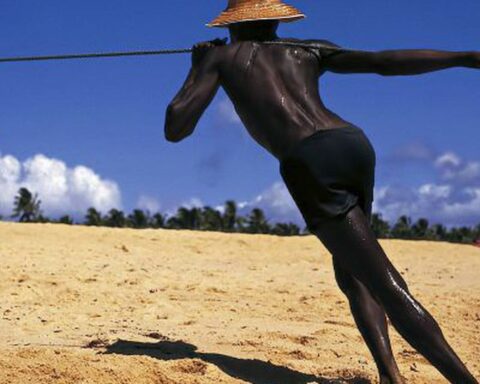 In Black Consciousness Month, CCBB honors photographer Walter Firmo