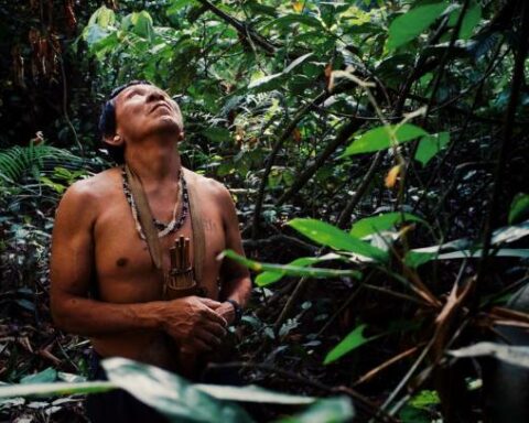 Indigenous autonomy: what is it and where does it apply?