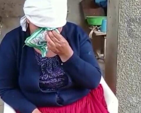 International Day for the Elimination of Violence against Women: aggression does not stop with unemployment;  173 complaints were received