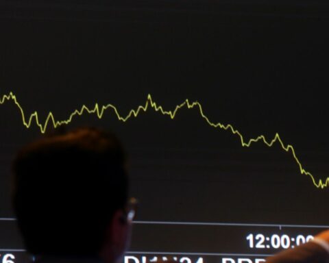 Investment by individuals in variable income grows 35%