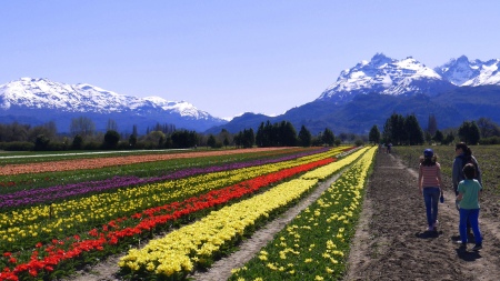 Land of tulips and other getaways dreamed of by 150 towns are added to Google Maps