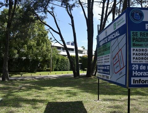 Latest "little wood" de Carrasco was auctioned for US$ 1.5 million