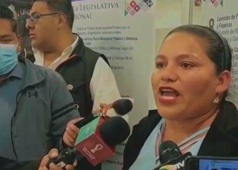 MAS deputy attacks Evo and calls him "cursed" for criticizing Luis Arce's management