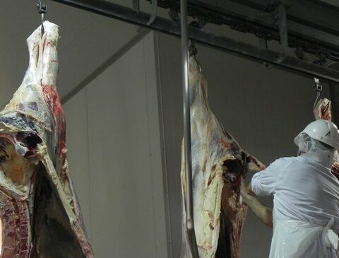 Marginal growth for the heart of the industry in September