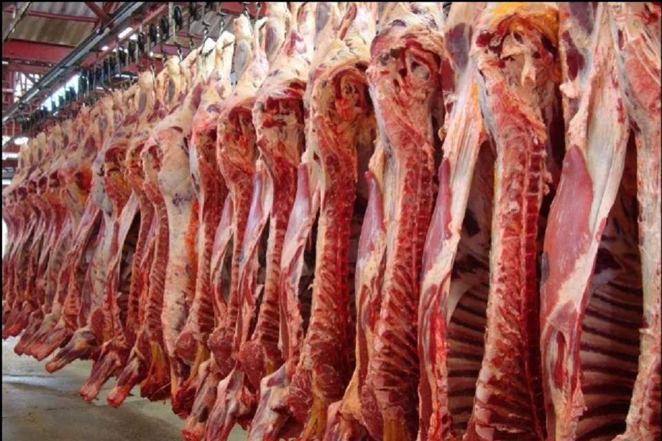 Meat consumption increases to 10 kg per capita per year