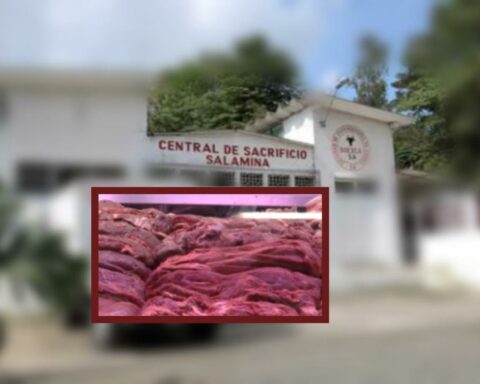 Meat "is expensive" and reopening municipal slaughterhouses would help lower prices, according to Petro