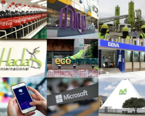 Meet the finalists of the 2022 Portfolio Awards