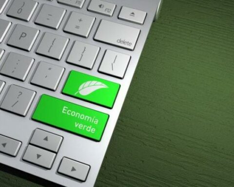 Minambiente proposes to strengthen the bioeconomy: how it would work