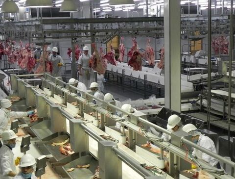 Minerva is close to buying the BPU refrigerator, according to a Brazilian media