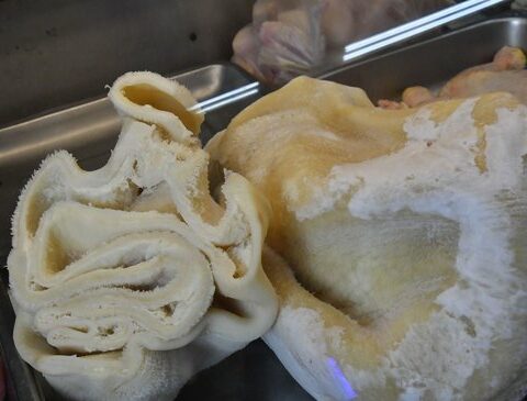 Mondongo and bovine tongue, new products that Uruguay wants to sell to China