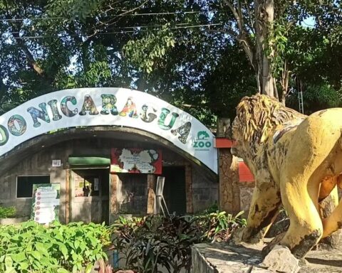 National Zoo will receive more budget under Marena administration