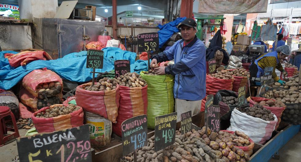 Native potato rises to 5 soles per kilo in Huancayo markets