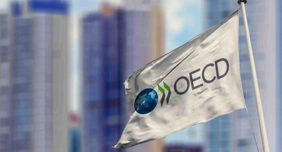 OECD warns about "risk of tax evasion" of multinationals