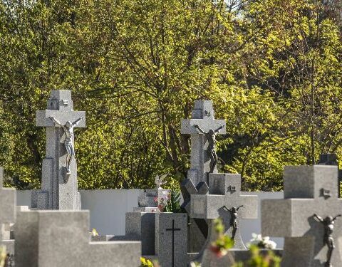 Cementerio de Las Rozas, Pablo Milanés