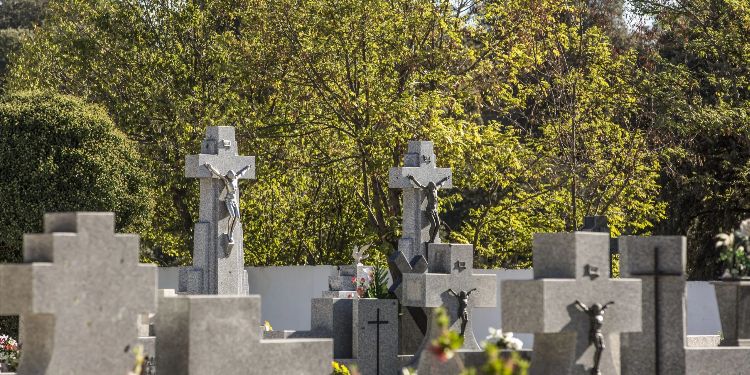 Cementerio de Las Rozas, Pablo Milanés