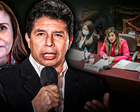 Pedro Castillo: Subcommittee admits constitutional complaint filed by Patricia Benavides
