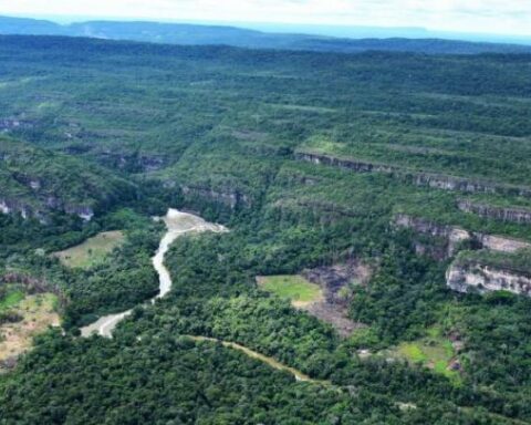 Petro asked for global resources to help the Amazon, at COP 27