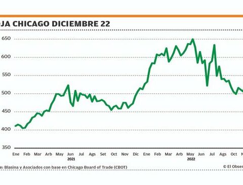 Political ups and downs shake values ​​in the grain market