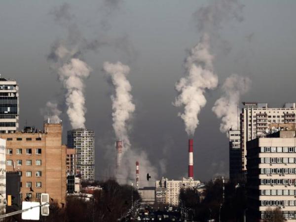 Portfolio grows to offset CO2 pollution