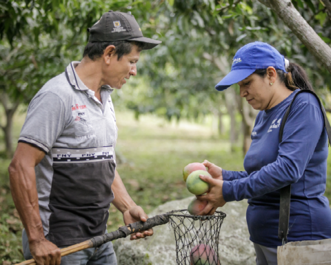 Postobón delivered $278 million resources for fruit production to Hit Social associations