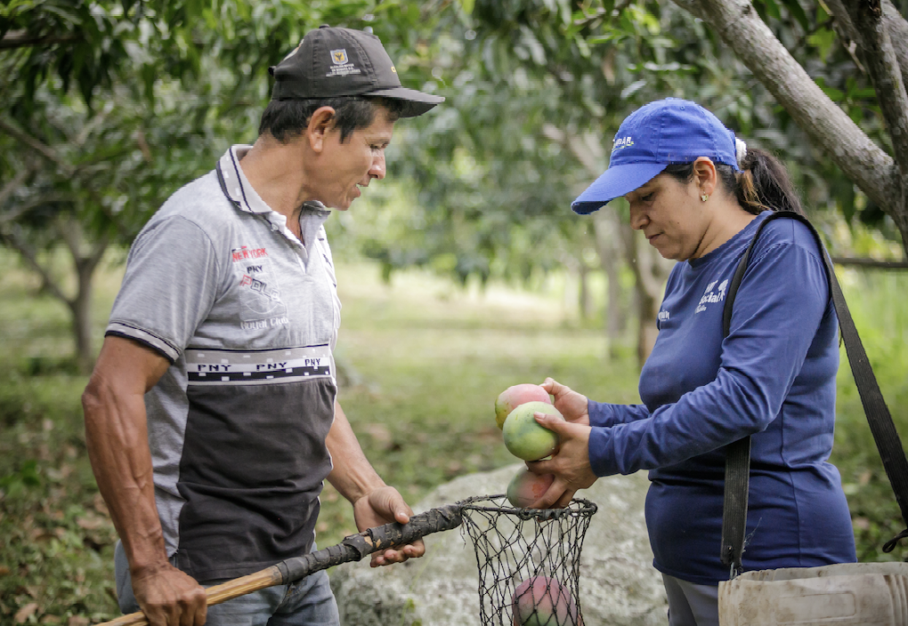 Postobón delivered $278 million resources for fruit production to Hit Social associations