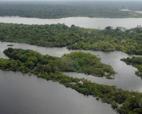 Preservation of the Amazon is a priority for the government elected at COP27