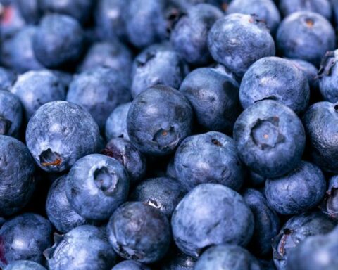 Proarándanos asks for a solution so as not to affect the sustainability of companies in the industry